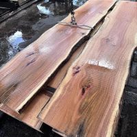 482349191_597090176654412_8779114414134828351_n