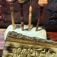 494696208_640368705659892_8122221908170608239_n