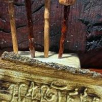 495220165_640368802326549_5641778230458721417_n